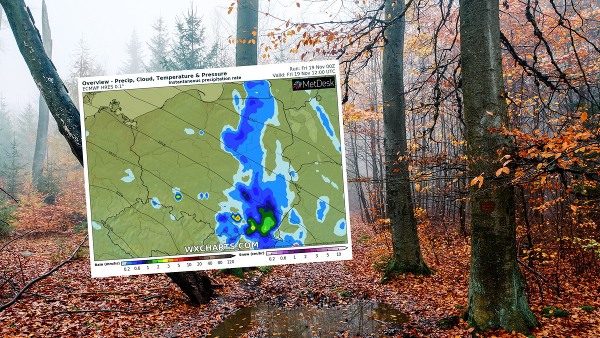 Prognoza pogody na piątek, 19 listopada. Ciepły, ale mokry i wietrzny dzień