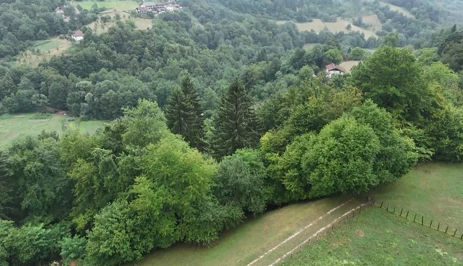 Emisija "Metar moga sela", Hanka Paldum