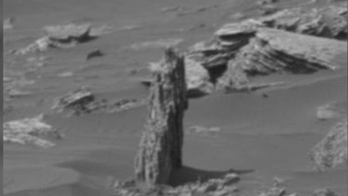 W przesłanych przez należącego do NASA łazika Curiosity materiałach znalazło się zdjęcie, na którym uwieczniony został nietypowy obiekt. Przypomina on skamieniały pień drzewa.