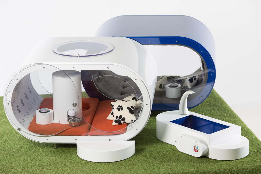 Samsung Dream Doghouse - wymarzona buda dla psa Samsunga