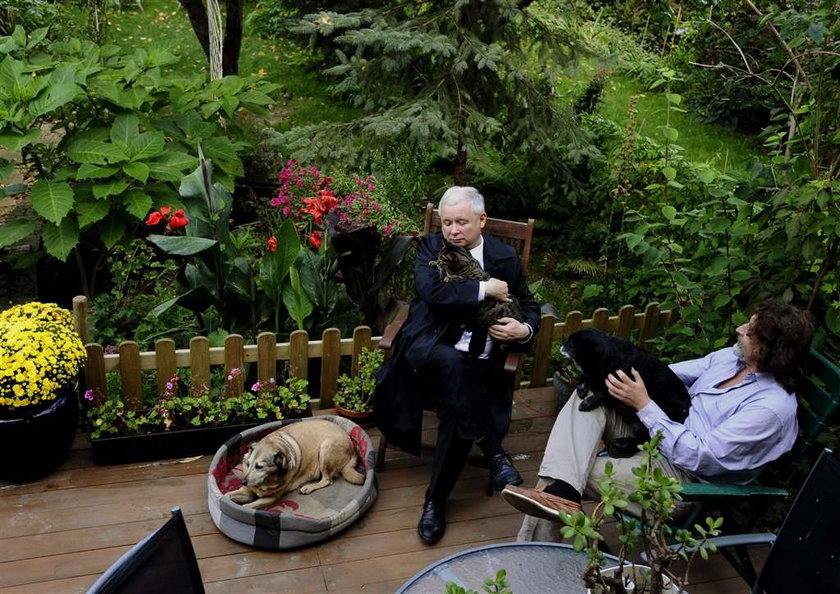 Kaczyński bawi się z kotem. Tęskni za Alikiem? FOTY