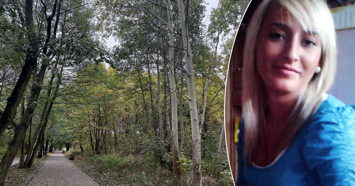 To możliwe. Kluczowa teza o sprawcy Iwony Wieczorek