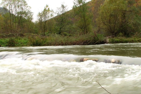 ČISTA MAGIJA! Gradac - najčistija naša reka, hladnih virova, netaknute prirode i MIR o kome sanjate na samo 100 km od Beograda