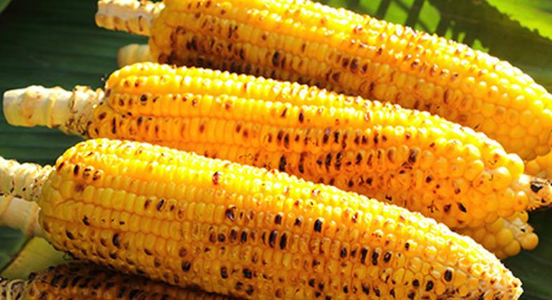 Roasted corn 