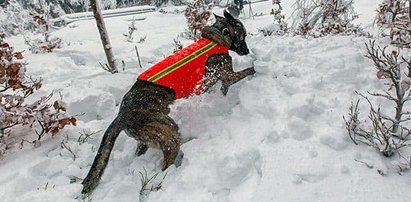 Ratował ludzi w górach, teraz zaginął. GOPR prosi o pomoc!