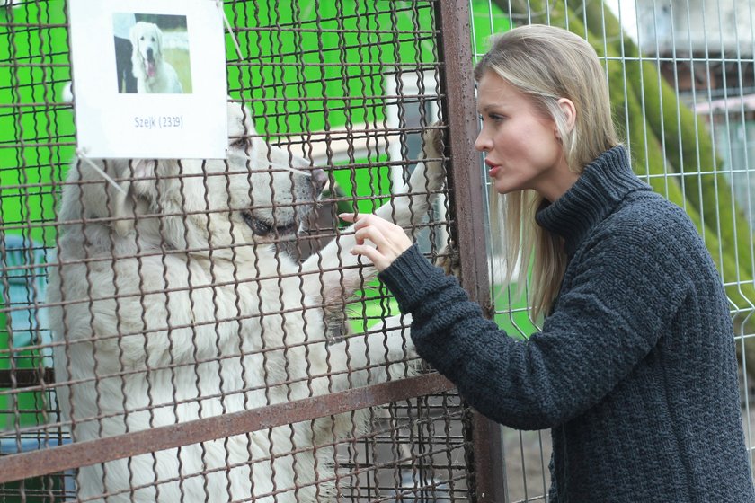 Joanna Krupa w schronisku dla zwierząt