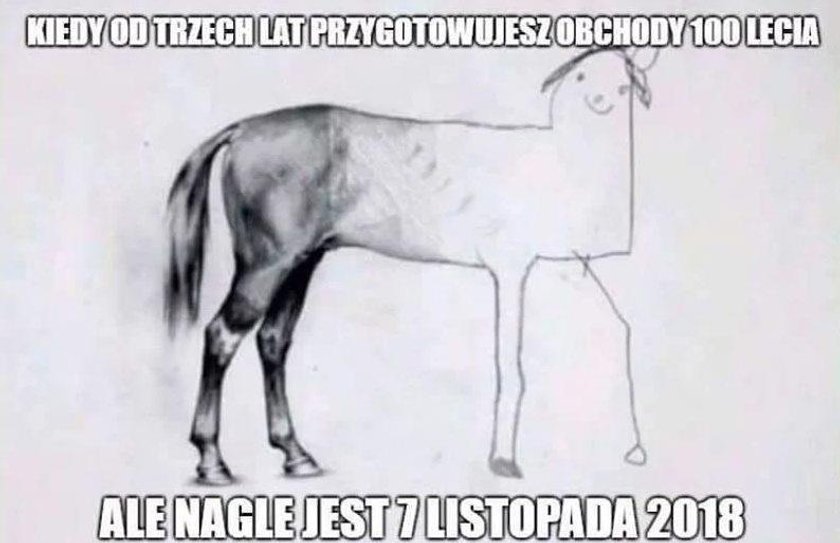 Internauci wyśmiewają Marsz Niepodległości