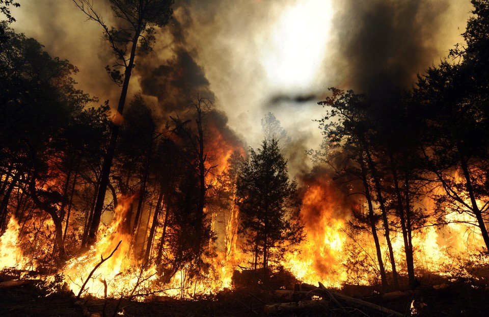 USA TEXAS WILDFIRES