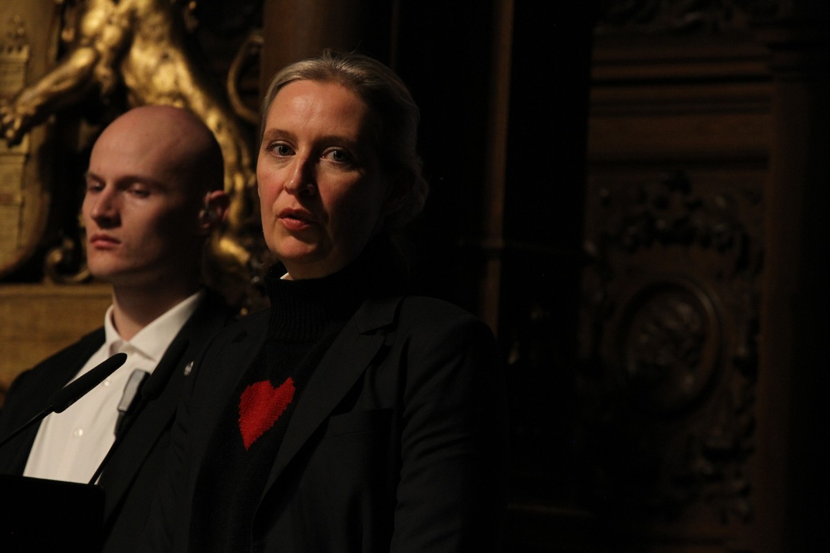 wobry w Niemczech Alternatywa dla Niemiec AfD Niemcy