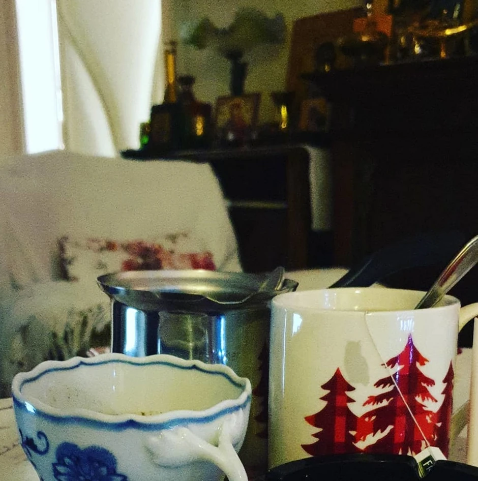 Objava Vesne Radusinović