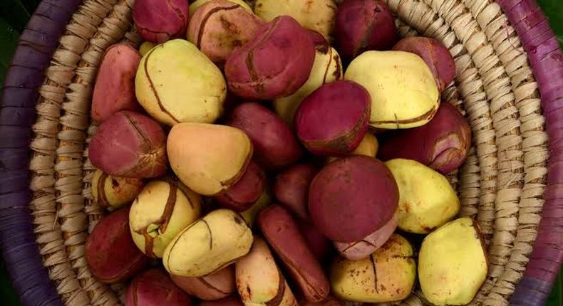Kolanut is used to communicate with the gods of the land.