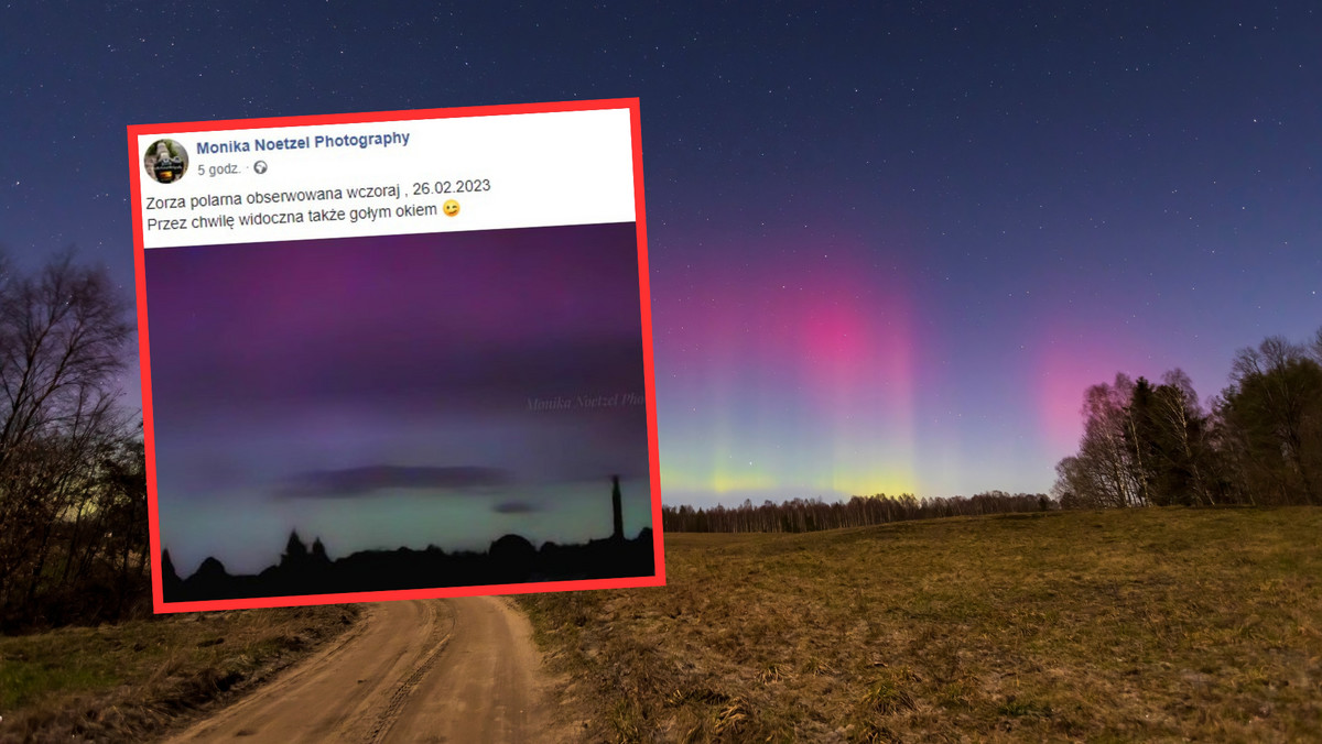 Zauważyli ją w Polsce. To nie koniec "tańczącego pokazu"