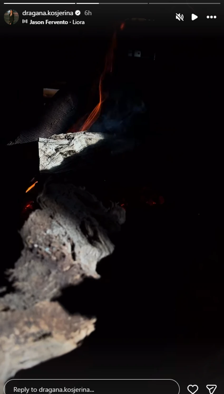 Dragana Kosjerina objava