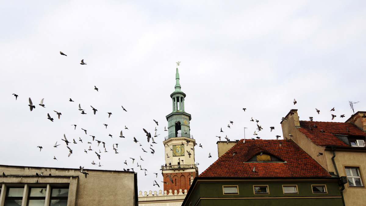 Pogoda Poznań na dziś. Prognoza pogody 2018-09-08