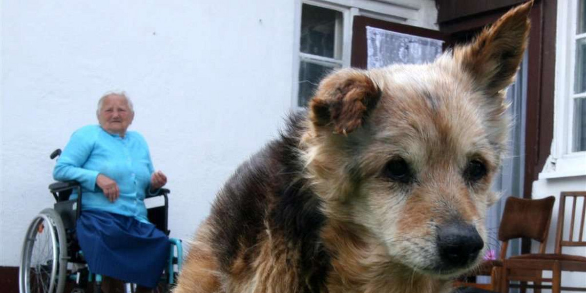 To najstarszy pies w Europie!