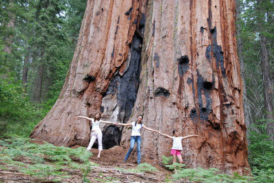 Park Narodowy Yosemite