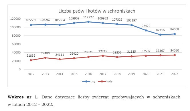 Raport Głównego Lekarza Weterynarii z wizytacji schronisk dla zwierząt w 2022 r.