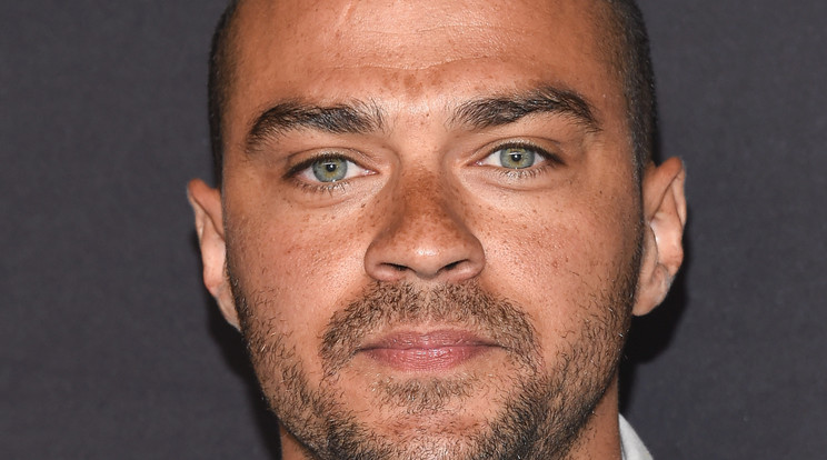 Válik Jesse Williams, gyerekeit is vinné /Fotó: Northfoto