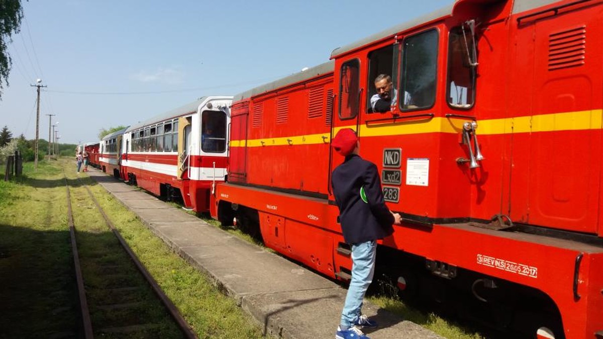 Nadwiślańska Kolejka Wąskotorowa znów wyruszyła na trasy powiatu opolskiego. Na inauguracji sezonu do popularnej "ciuchci" wsiadło ponad 150 osób. - To fajna atrakcja - przyznają turyści.