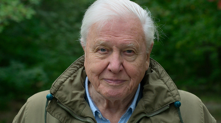 David Attenborough Csernobilban az Egy élet a bolygónkon című műsorának felvételén (Netflix)