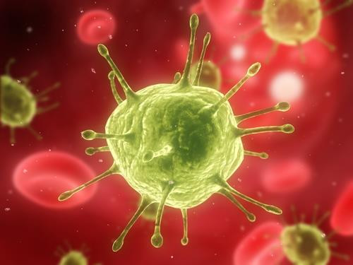 Wirus brodawczaka ludzkiego (HPV)