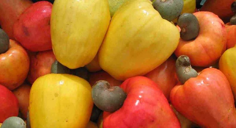 ___6806729___https:______static.pulse.com.gh___webservice___escenic___binary___6806729___2017___6___8___19___cashew-fruits-nuts