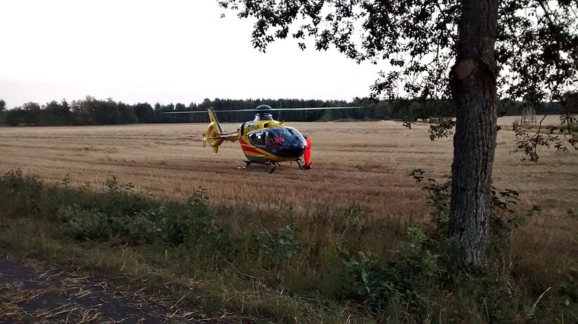 Kierowca busa rozbił się na drzewie