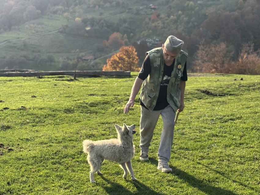 Budo je sa Pala došao na Goliju