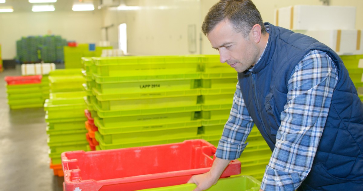 Niemcy szukają rąk do pracy. Stawka taka, że Polacy rzucili się na ogłoszenie