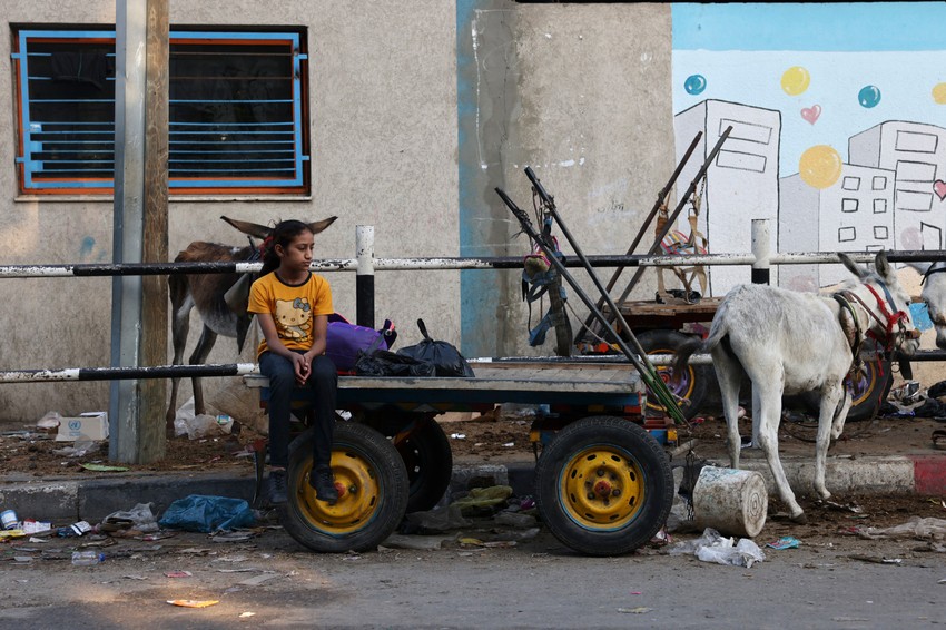 Deca Gaze znaju samo za rat