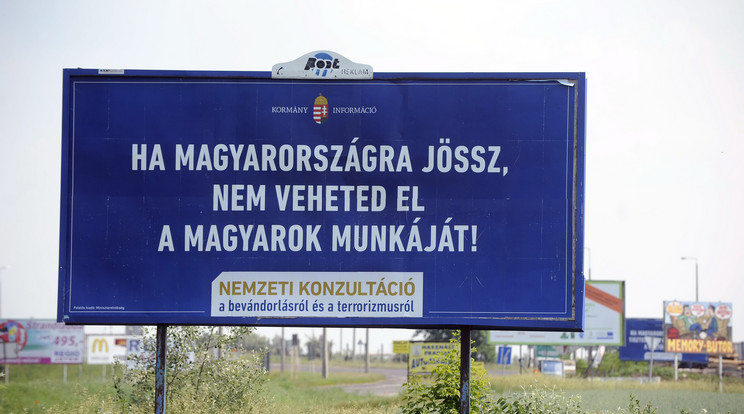 Kormányzati kampány a menekültek ellen / Fotó: MTI - Máthé Zoltán