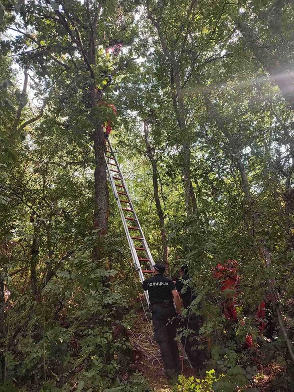 Svrljig Vatrogasno spasilačke jedinice spašavanje paraglajdera