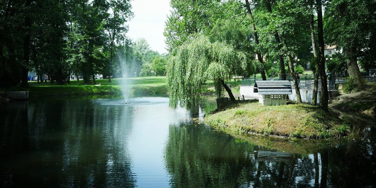 Park miejski w Wodzisławiu Śląskim.