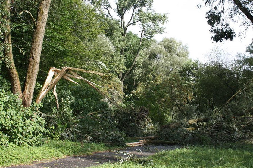 Ogród Botaniczny już otwarty