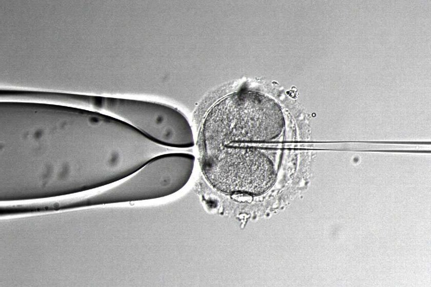 Niebywałe dziecko z in vitro! Jako embrion było zamrożone 18 lat!