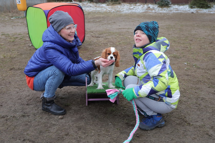 Suczka Abi uczy się być dogoterapeutką