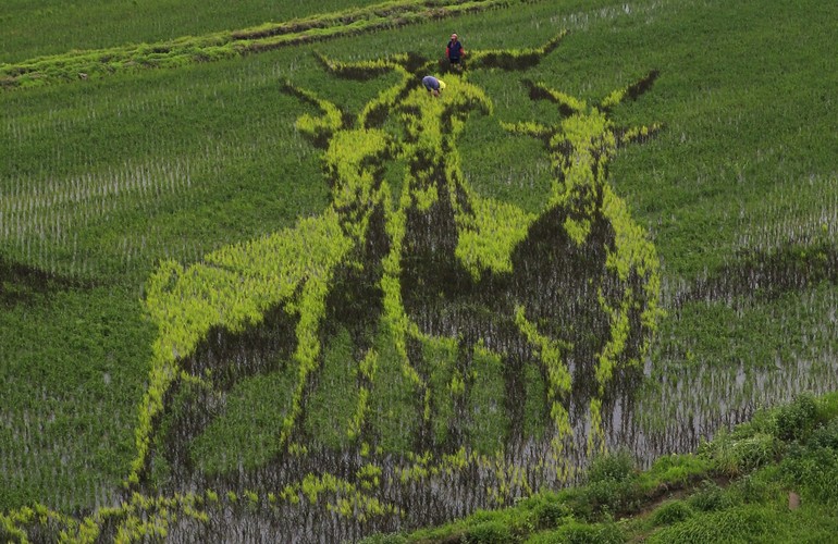 Jest formą modlitwy o błogosławieństwo urodzaju.