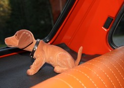 Biały kruk polskiej motoryzacji uratowany! Kosztował 20 całych pensji. Zobacz ZDJĘCIA