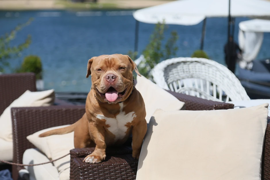 Ada Ciganlija, lepo vreme