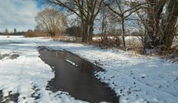 Zima nie odpuszcza, ale idzie odwilż. Prognoza pogody do weekendu