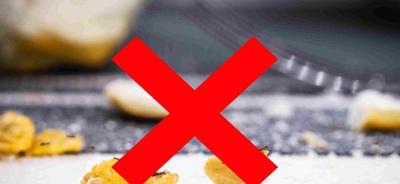 Rozsyp na grządkach i na tarasie. Mrówki nie będą problemem ani w domu, ani w ogrodzie