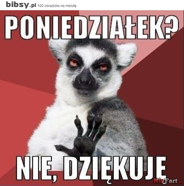 Początek roku szkolnego - memy