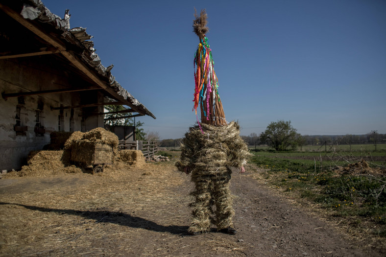 Czechy: chłopak ubrany w słomiany strój związany z topieniem Judasza