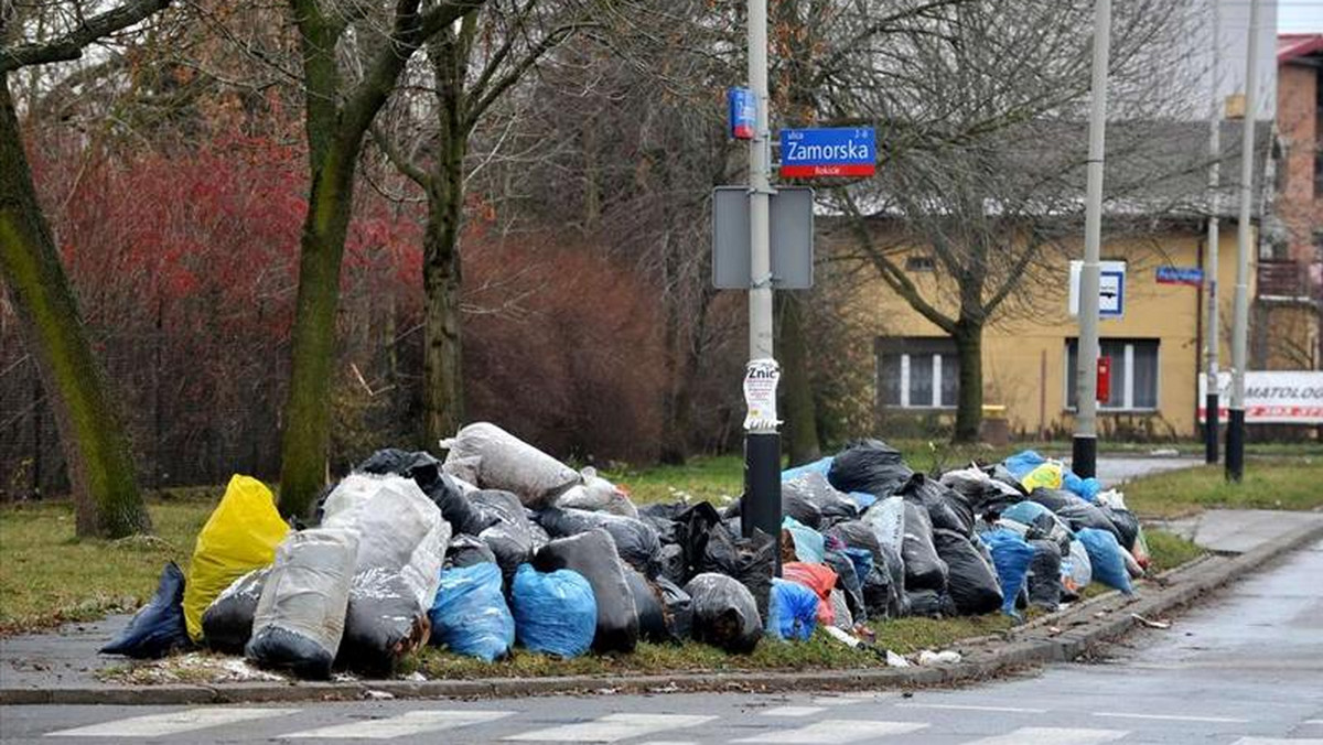 Kolejny rok i kolejny skandal z akcją liść! W listopadzie zakończyła się zbiórka zeschniętych liści od mieszkańców. Zbliża się połowa grudnia, a śmieci nadal leżą.