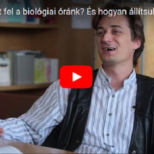 Videórendelő: Mitől borulhat fel a biológiai óránk?
