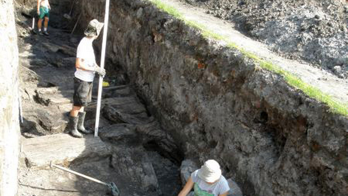 Wyniki badań drewnianych konstrukcji, które odkryto podczas wykopalisk archeologicznych w Elblągu, potwierdziły, że są to pozostałości po krzyżackiej warowni z XIII wieku - poinformowało w poniedziałek elbląskie Muzeum Archeologiczno-Historyczne.