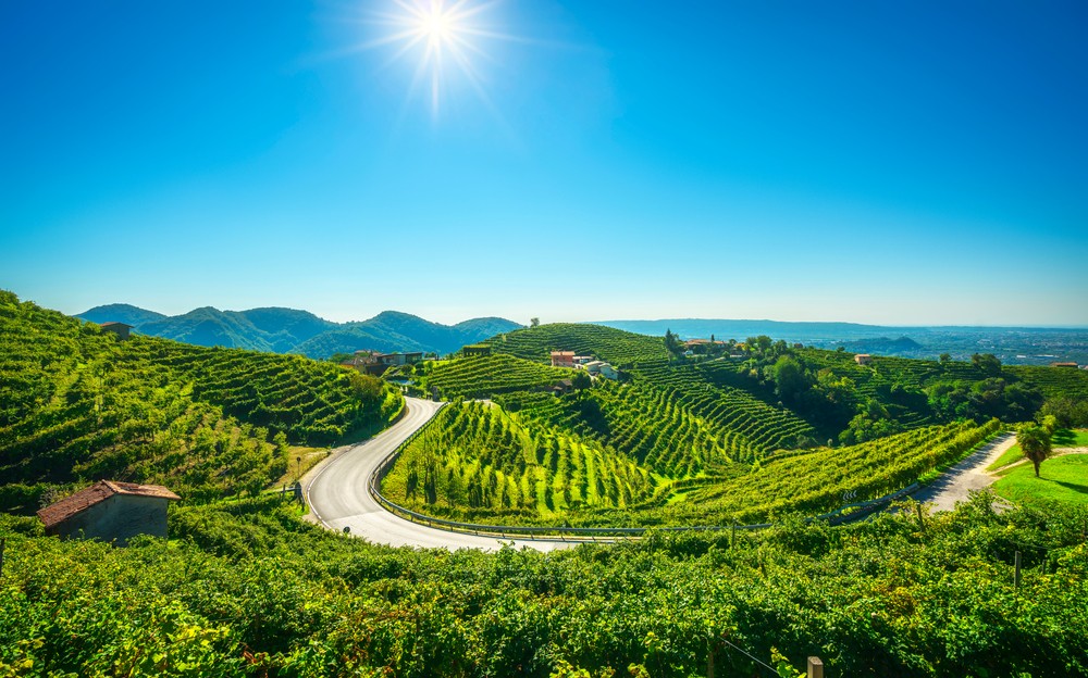 Prosecco Hills v blízkosti Trevisa, Taliansko