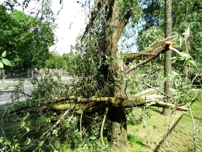 Nawałnica nad Lublinem