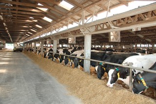 Wyzwania zrównoważonego rolnictwa