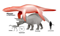 To monstrum pożarłoby furgonetkę